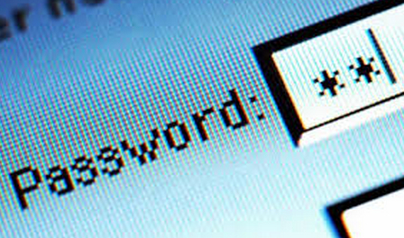 password-security-survey